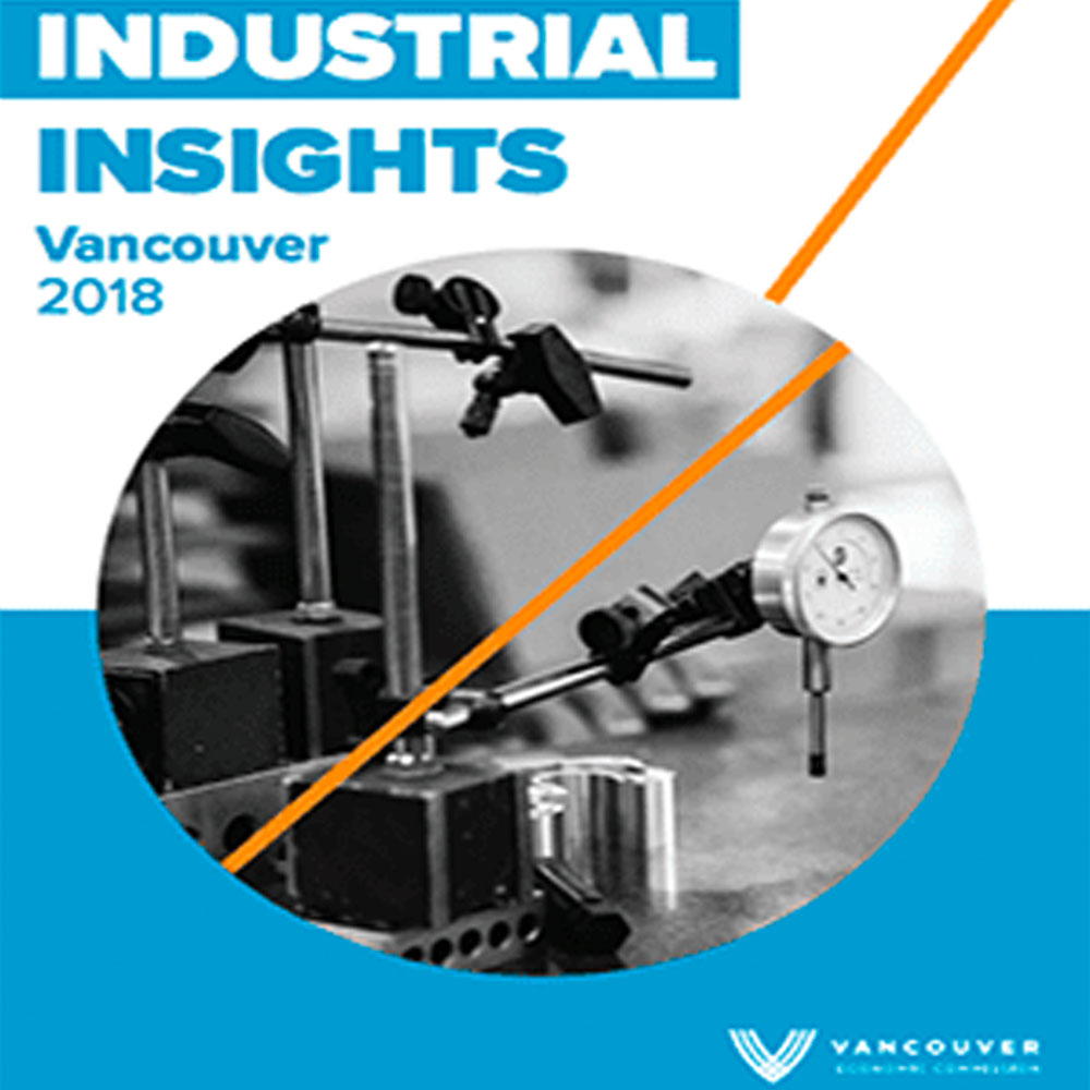 Industrial Insights Final Report